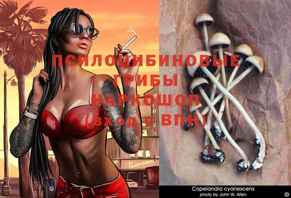 ешки Надым